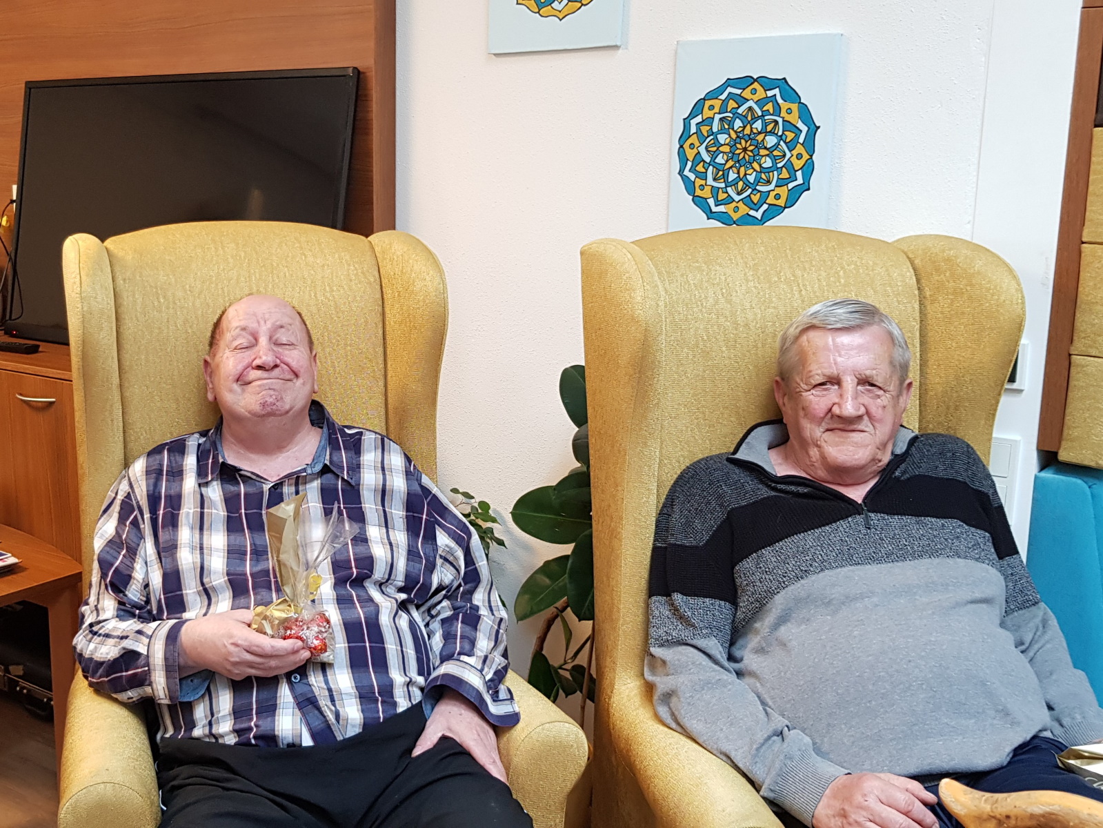 ProVita Sonnenstern besucht im Fruehling-1.jpg